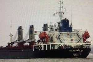 Україна заарештувала російське судно-земснаряд у справі про незаконний видобуток піску в Каркінітській затоці 