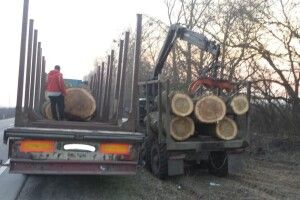 На Горохівщині зупинили вантажівку з незаконною деревиною