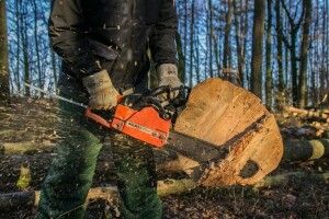 Замість дров – вирок: у селі неподалік Луцька волинянин «напиляв» на статтю