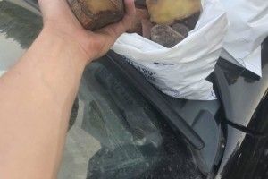 Після бурштиношукачів лісівники наводять лад 
