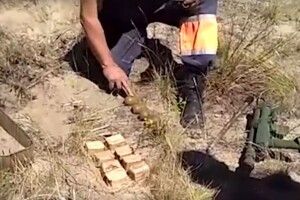 Поблизу лінії зіткнення прикордонники виявили схованку з боєприпасами (Відео)