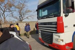 Три сотні овець везуть з Чорноморська на Вінничину – тварин планують знищити...