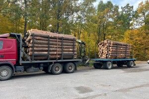 На Сарненщині поліцейські викрили прикарпатця на незаконному перевезенні деревини 