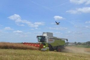 Волинь аграрна: 1 мільйон тонн картоплі, 1 мільйон гектарів землі, 1 мільйонн тонн зерна
