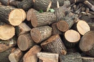 Волинянку ошукали на 10 тисяч гривень продавці дров з інтернету 