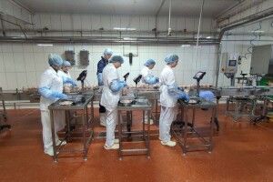 Волинський виробник консервів збільшив виробництво (Фото, відео)