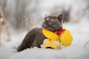 Якою буде погода на Волині завтра