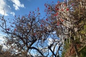 Якою буде погода на початку квітня