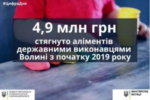 Державні виконавці Волині за січень стягнули 4,9 мільйона гривень аліментів