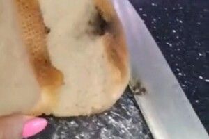 «Смердить порохом»: у жінки в руках вибухнув батон (Відео)