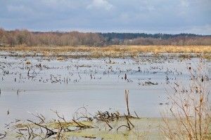 Волинян кличуть в екопохід до «крутого» джерела