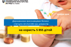 Державні виконавці Волині «вибили» понад 12 млн грн аліментів із нерадивих батьків