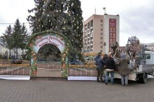 Тигр, якого встановили у центрі Луцька, важить 300 кілограмів (Відео, фото)