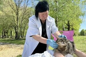 У місті на Волині провакцинували від сказу 36 домашніх улюбленців