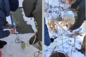 У Луцьку перевіряють якість води у річці Жидувка