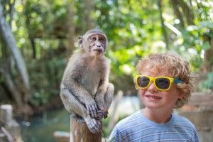 Малюки та мавпенята чудово спілкуються між собою