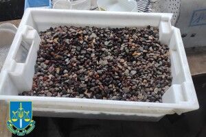 На Волині виявили підпільний цех з обробки бурштину (Фото)