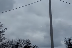 З'явилося відео повітряного бою під Києвом