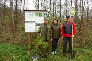 В урочищі «Панський ліс» висадили 300 саджанців липи та клена-явора (фото)