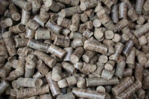Нові плани Гнідавського цукрового заводу