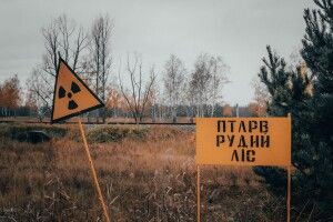 Горить 10 тис. гектарів чорнобильського радіоактивного лісу