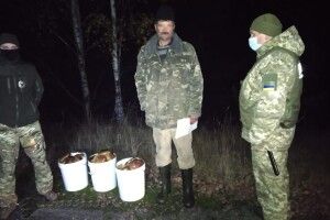 З «чорнобильської зони» несли близько 40 кілограмів грибів (Фото)
