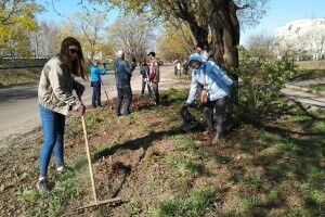 Рівнян кличуть на загальноміську толоку