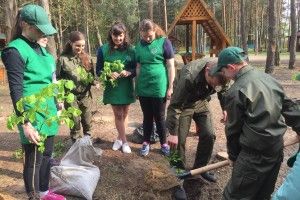 У Городку на Маневиччині  вже реалізували свій «зелений» проект