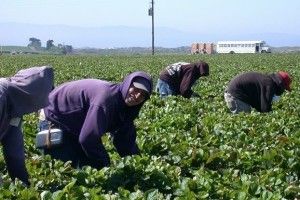 У Польщі підрахували зарплати наших земляків