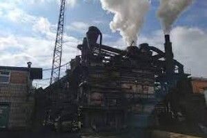 «Рівнеторф» продали на аукціоні за 205 млн гривень