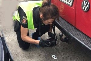 У Рівному викрито злочинне угрупування