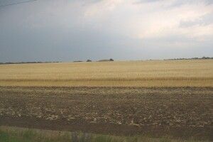 На Горохівщині 14 га землі віддадуть на переробку сміття 