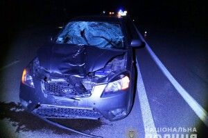 На трасі Київ-Ковель загинув 53-річний селянин