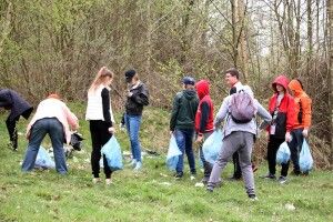 У Цуманській пущі збираються прорубати «Вікно у світ птахів»