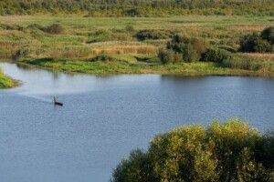 На Волині – загроза підтоплень: рівень води на річках Прип’яті зросте