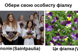 Природничий музей потролив кліп KAZKA на найуспішнішу українську пісню року
