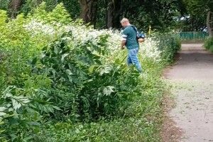 У Берестечку на Волині люди вийшли на толоку
