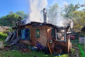 Під час пожежі опіки одержали 25-річна жінка з двотижневим немовлям