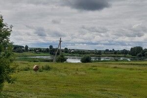 У громаді на Волині навели лад на старому польському цвинтарі