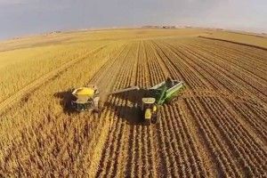 На Волині йде війна за врожай