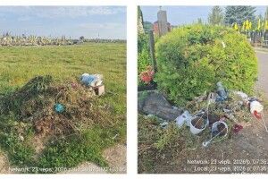 У Луцьку після скарг містян перевірили стан кладовищ (Фото)