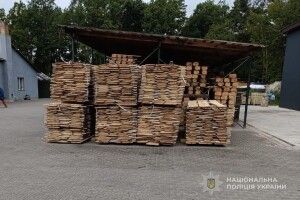 У Луцькому районі затримали банду чорних лісорубів