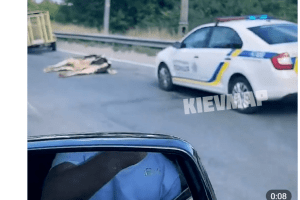 Тварини загинули: у столиці під час ДТП на дорогу випали корови (Відео 18+)