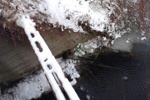 На Волині тварина потрапила у глибоку пастку