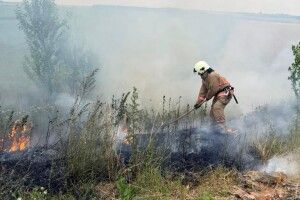 Волинь палає і без ракет путіна