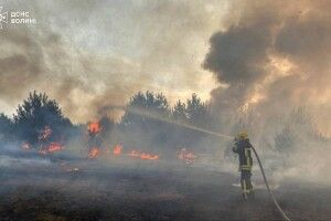 Волинь у вогні через людську безвідповідальність