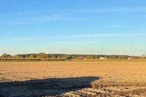 На Рівненщині патрульні посеред поля знайшли розтрощену автівку (Фото)