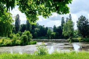Яким буде оновлений парк імені 900-річчя Луцька