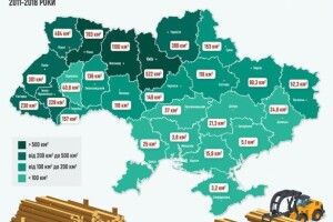 Найбільше лісів рубають на Поліссі