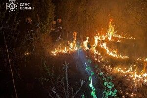 Тільки з початку травня на Волині ліквідовано 65 пожеж в екосистемах!